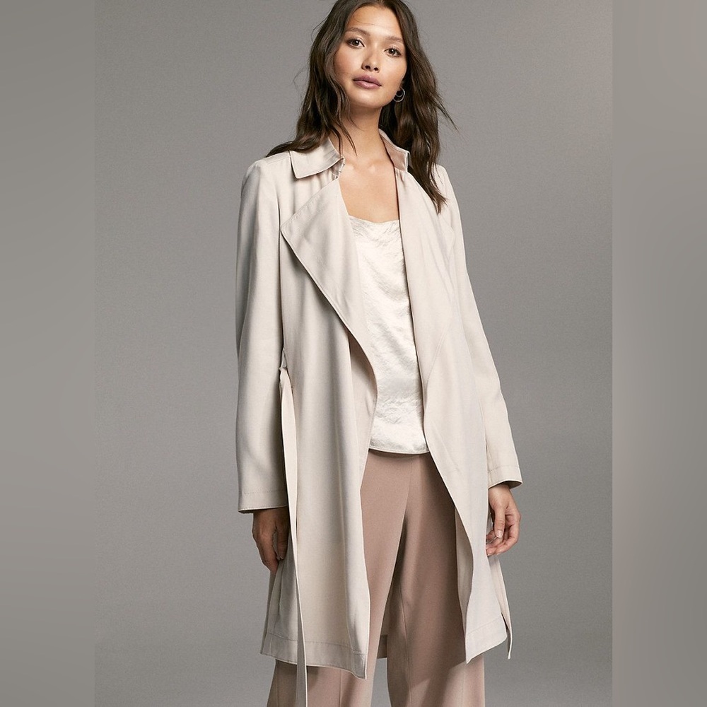 NWT Babaton Maximo Trench | Aritzia